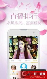 成人直播平台app开发,技术架构与运营策略全解析